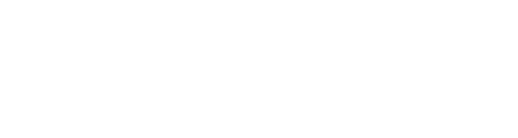 blumlogo_color